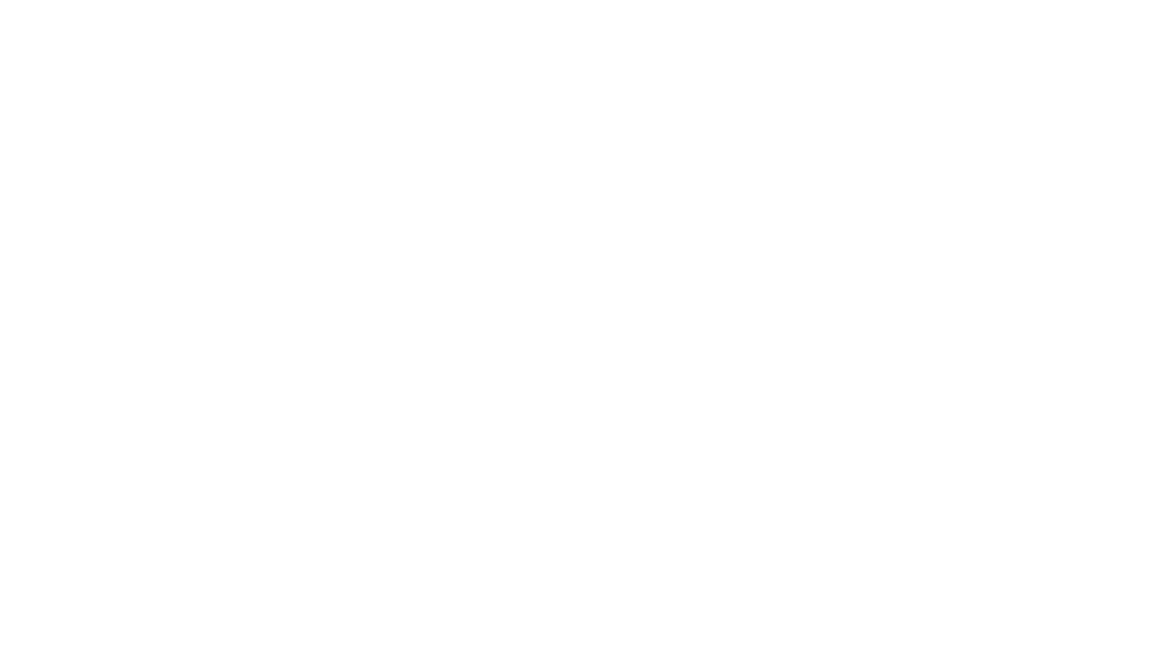 light logo